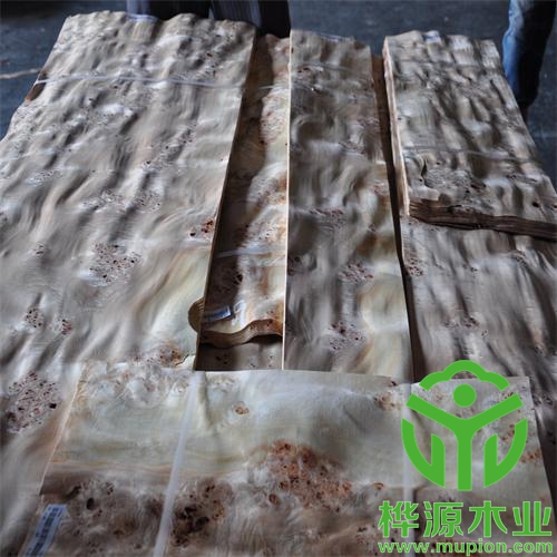 白杨树榴木皮品质保证，0.5mm树榴木皮种类齐全